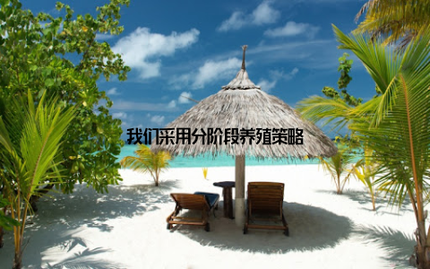 我们采用分阶段养殖策略