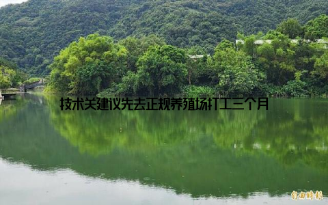 技术关建议先去正规养殖场打工三个月