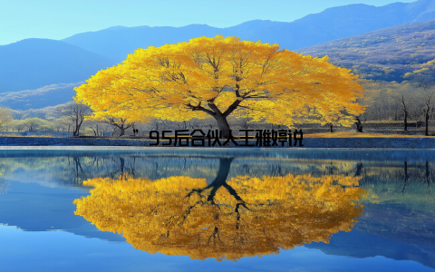 ”95后合伙人王雅婷说