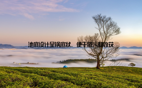 池底设计呈锅底状, 便于排污和收获