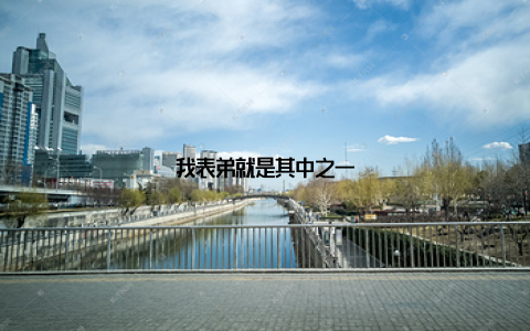 我表弟就是其中之一