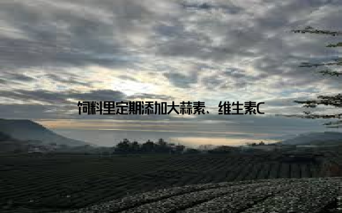 饲料里定期添加大蒜素、维生素C