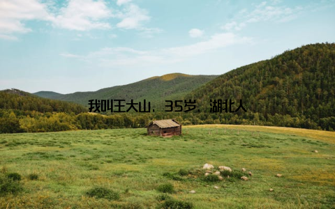 我叫王大山, 35岁, 湖北人