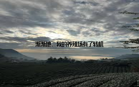 渐渐地, 我的养殖场有了转机