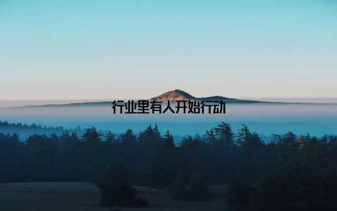 行业里有人开始行动