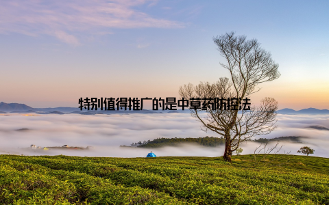 特别值得推广的是中草药防控法