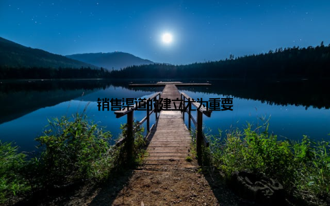 销售渠道的建立尤为重要