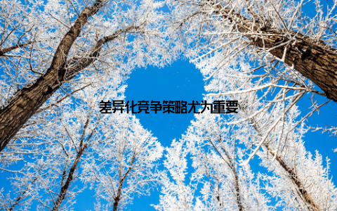 差异化竞争策略尤为重要