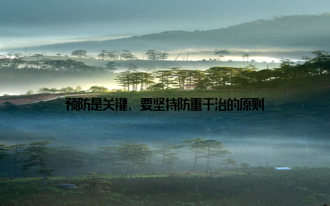 预防是关键, 要坚持防重于治的原则