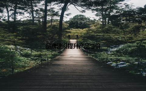 品牌建设提升产品溢价