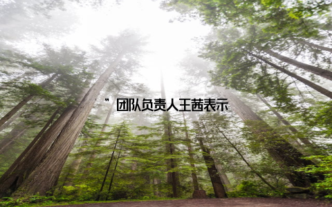 ”团队负责人王茜表示