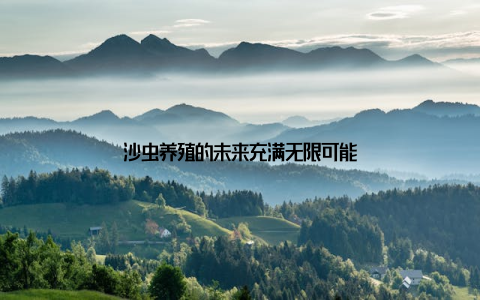 沙虫养殖的未来充满无限可能