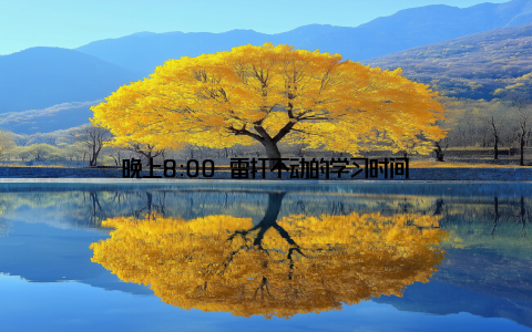 晚上8:00 雷打不动的学习时间