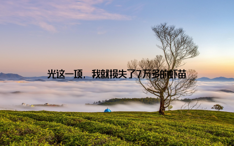 光这一项, 我就损失了7万多的虾苗