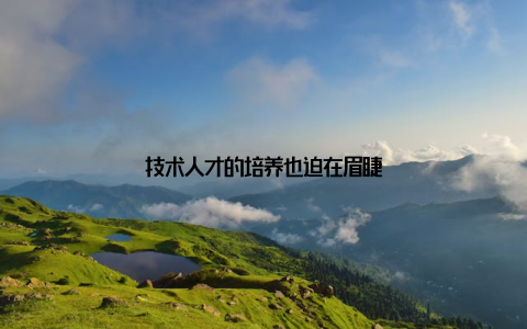 技术人才的培养也迫在眉睫