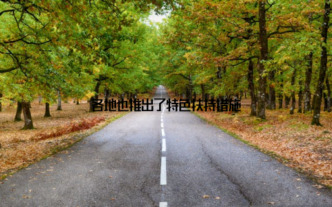 各地也推出了特色扶持措施