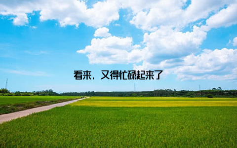 看来, 又得忙碌起来了