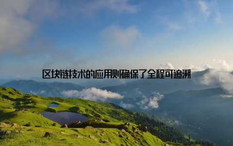 区块链技术的应用则确保了全程可追溯