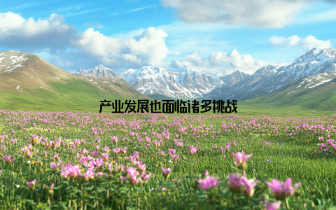 产业发展也面临诸多挑战