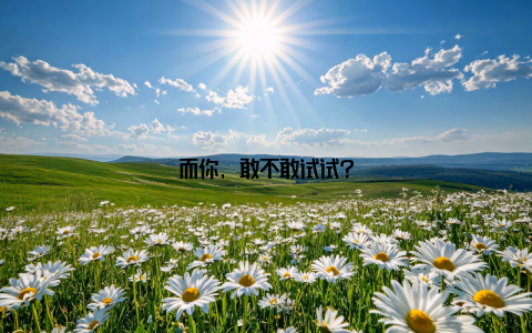 而你, 敢不敢试试?