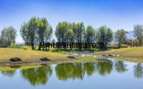 品牌化是提升附加值的关键