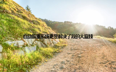 自动称重系统更是解决了我的大麻烦