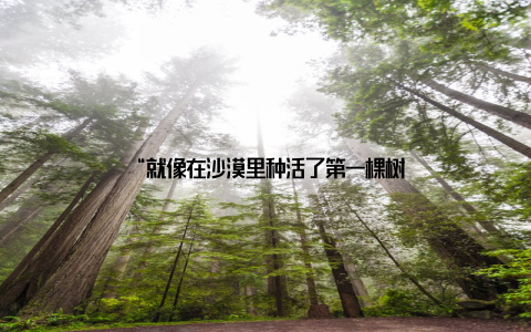 “就像在沙漠里种活了第一棵树