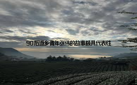 90后返乡青年张伟的故事颇具代表性