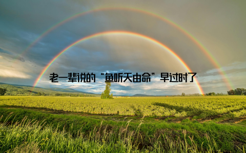 老一辈说的“鱼听天由命”早过时了