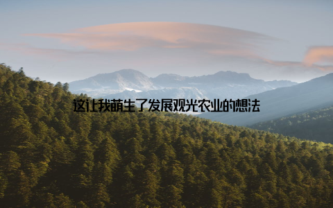 这让我萌生了发展观光农业的想法