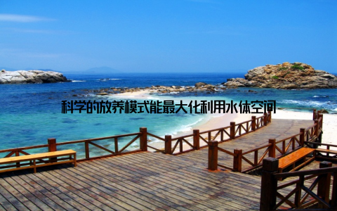 科学的放养模式能最大化利用水体空间