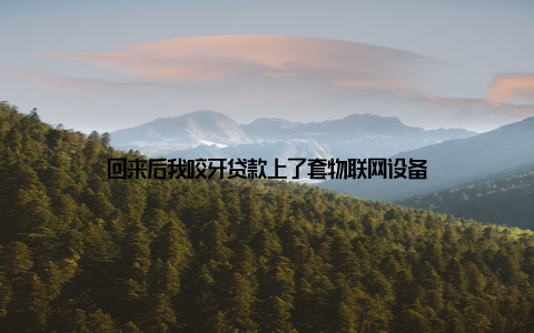 回来后我咬牙贷款上了套物联网设备