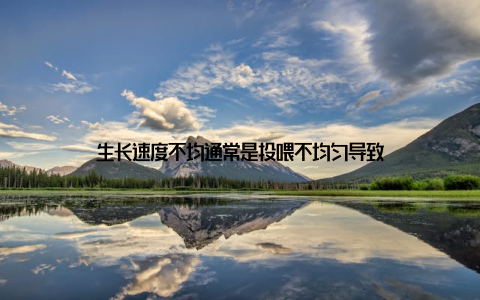 生长速度不均通常是投喂不均匀导致