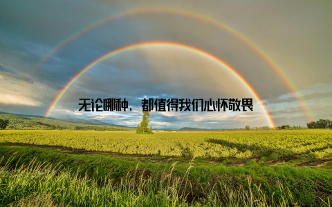 无论哪种, 都值得我们心怀敬畏