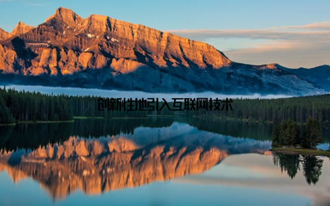 创新性地引入互联网技术