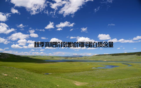 – 秋季育肥阶段增加饲料蛋白质含量