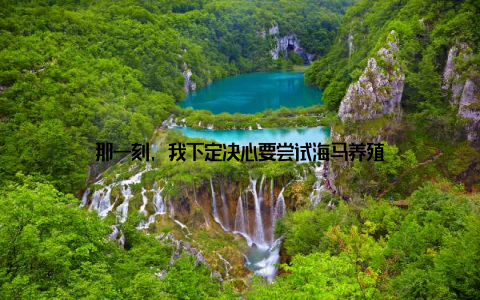 那一刻, 我下定决心要尝试海马养殖