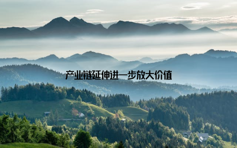 产业链延伸进一步放大价值