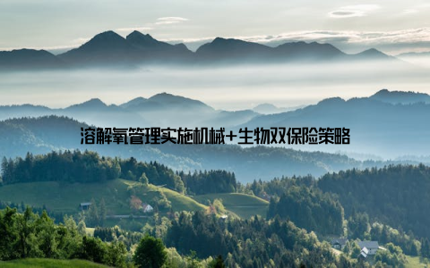 溶解氧管理实施机械+生物双保险策略