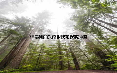 但最初的兴奋很快被现实冲淡