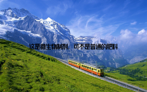 这是微生物制剂, 可不是普通的肥料