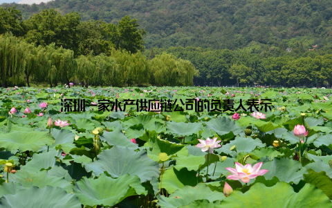 深圳一家水产供应链公司的负责人表示