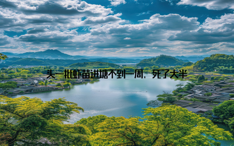 头一批虾苗进塘不到一周, 死了大半