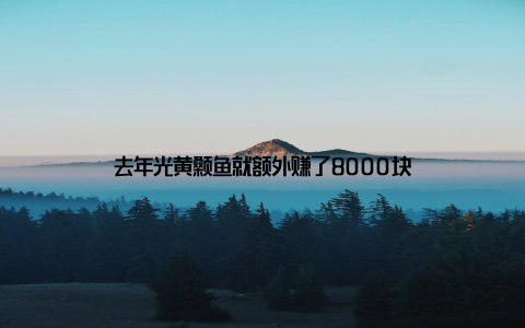 去年光黄颡鱼就额外赚了8000块