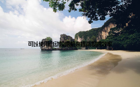 可以使用自动投喂机来提高投喂效率