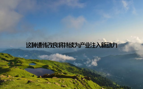 这种遗传改良将持续为产业注入新动力