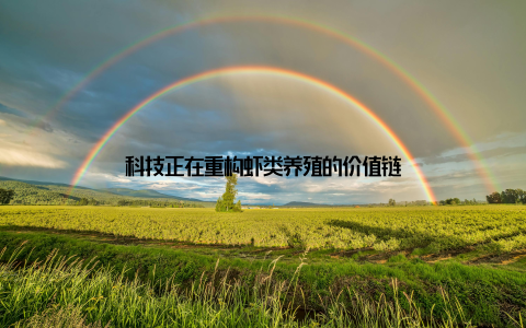 科技正在重构虾类养殖的价值链