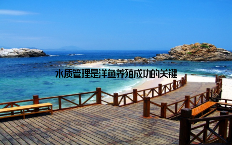 水质管理是洋鱼养殖成功的关键