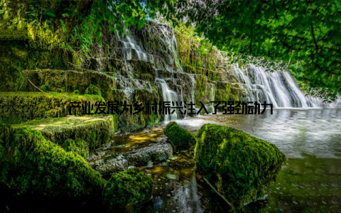 产业发展为乡村振兴注入了强劲动力