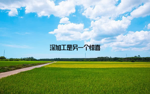 深加工是另一个惊喜